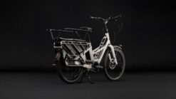LONGTAIL HYBRID FAMILY 800 - Image 3