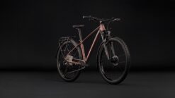 Vue alternative de AIM

                SLX FE